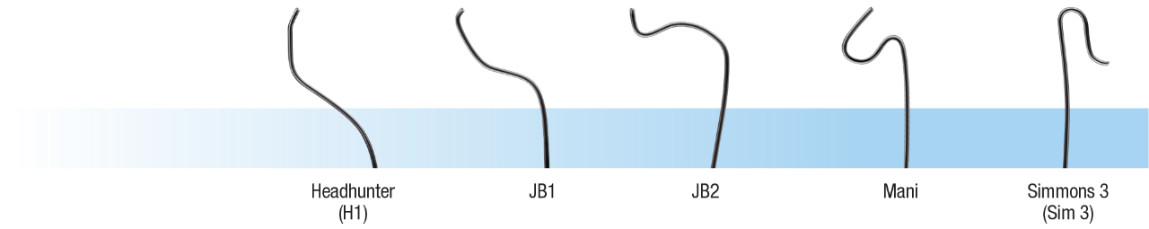 JB1 GLIDECATH® tip shape